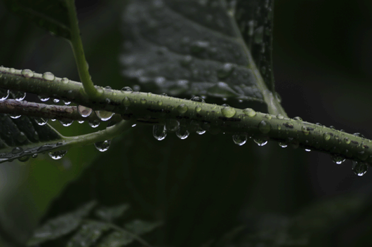 c0093046_6591811.gif