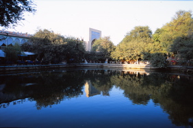 a0110447_23584115.jpg