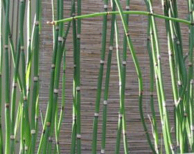 d0138852_183709.gif