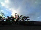 d0133863_23333547.jpg