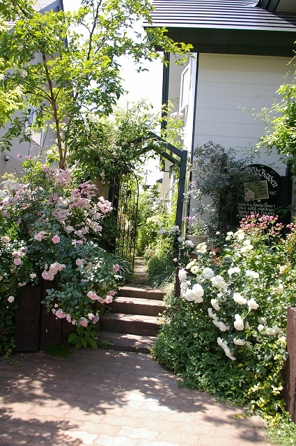 a0135366_23443221.jpg