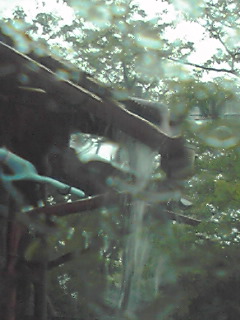 c0133470_13562376.jpg