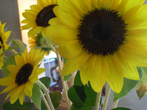 c0186973_18424456.jpg