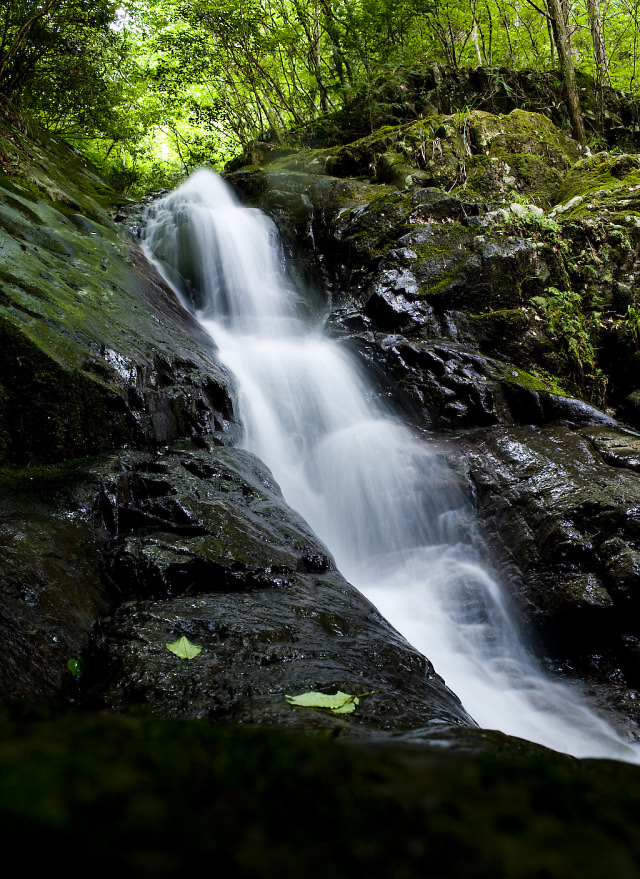 f0145674_17268.jpg