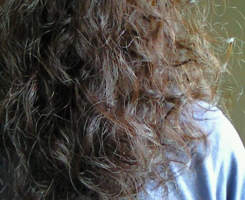e0062977_833537.jpg