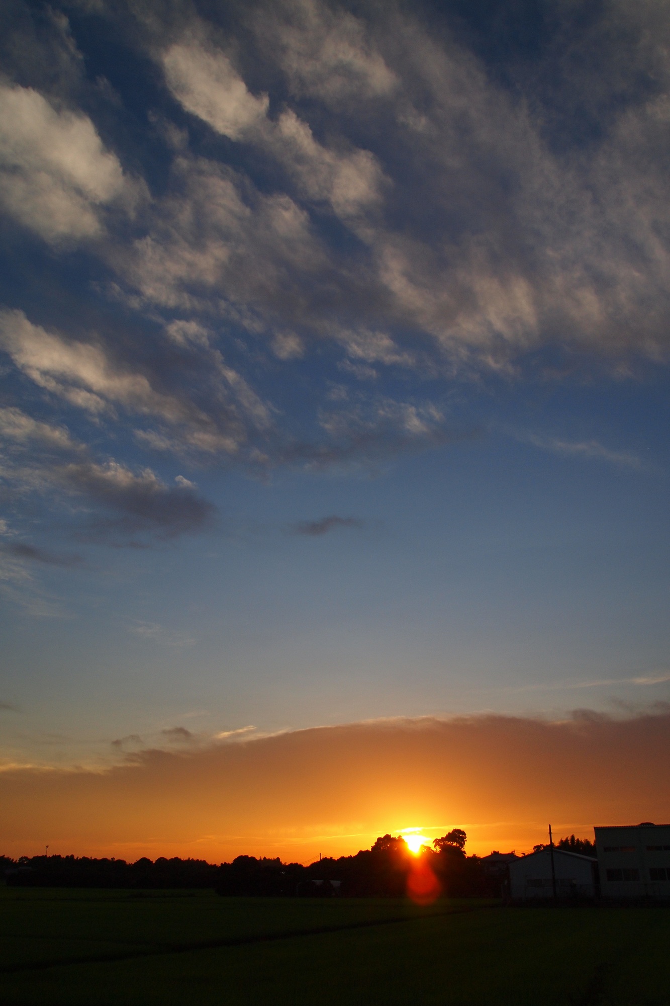 e0071178_21275161.jpg
