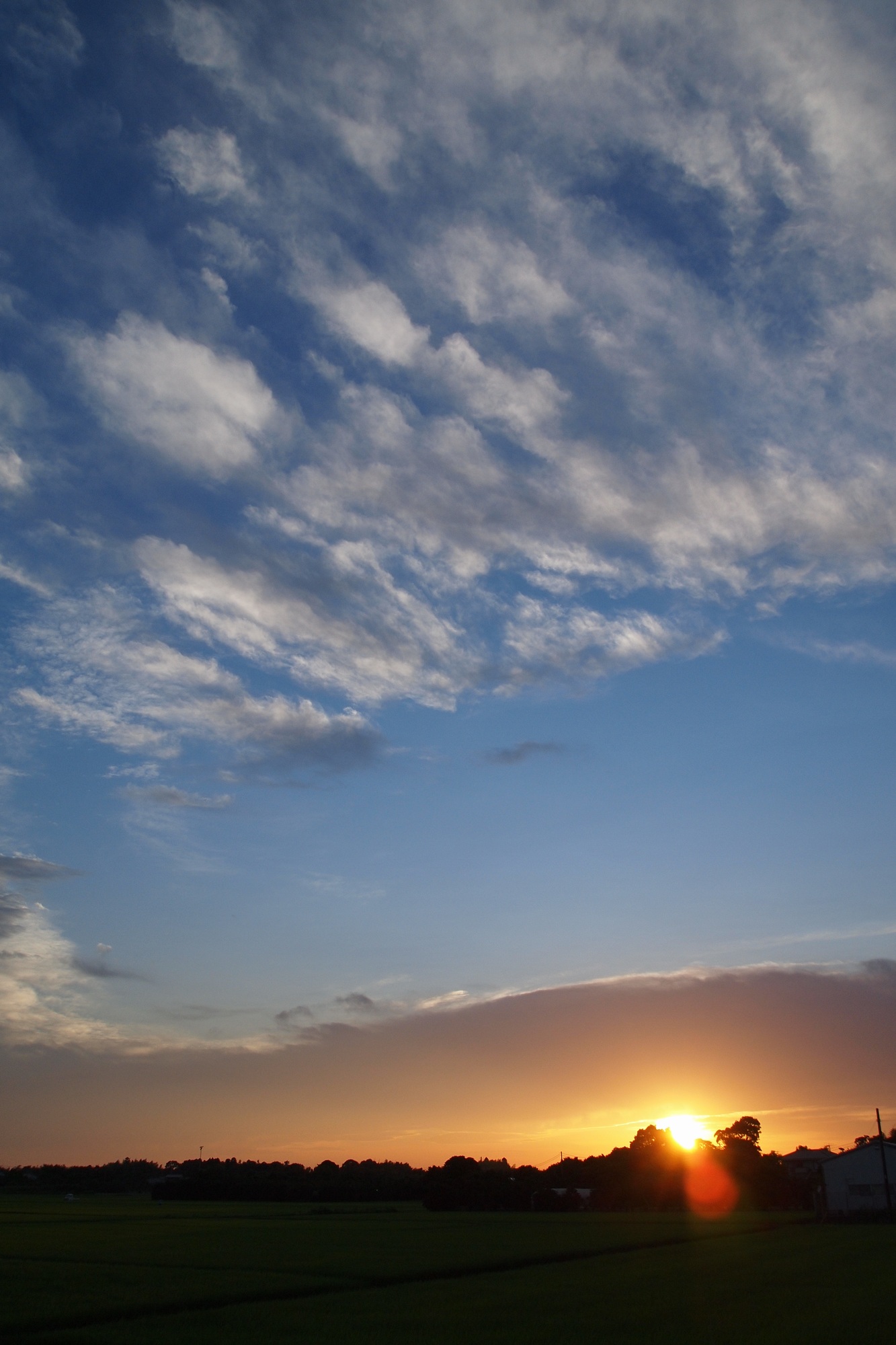 e0071178_2152227.jpg