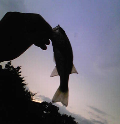 c0035980_23425657.jpg