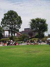 フリーマーケット 富士中央公園 ひみちゃんの日記