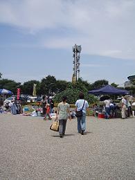 フリーマーケット 富士中央公園 ひみちゃんの日記