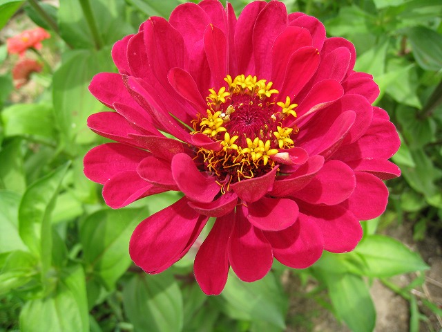 a0034382_23285352.jpg