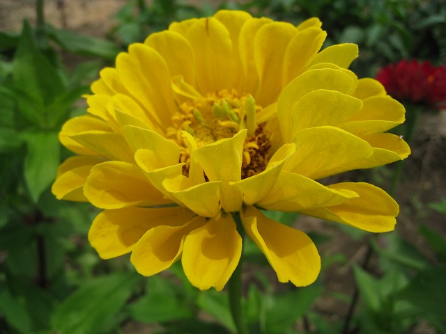 a0034382_23315117.jpg