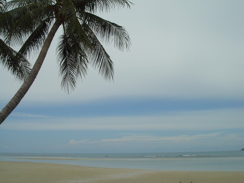 c0096685_21462665.jpg