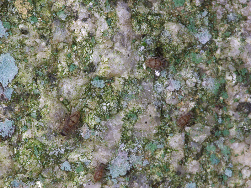 f0204094_20134367.jpg
