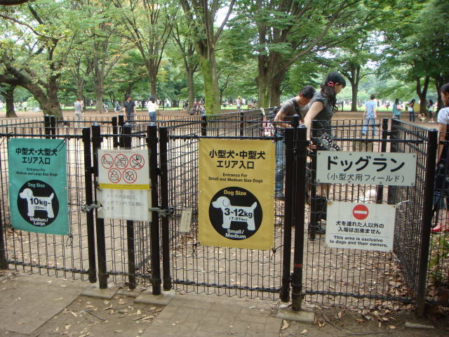 d0098295_16494523.jpg