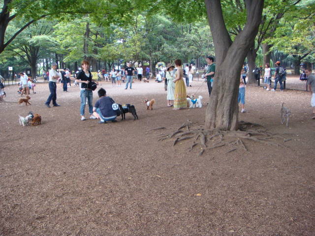 d0098295_16555497.jpg