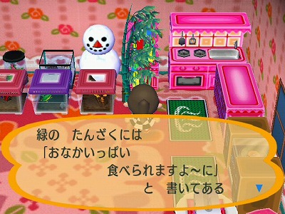 街へいこうよ どうぶつの森」プレイ日記115日目 : やっぱアッチ