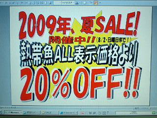 大変お待たせ致しました！_b0141806_1612570.jpg