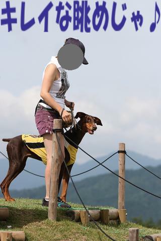 e0100007_21595779.jpg