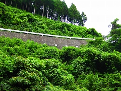 高尾山口 ←→ 陣馬山頂_a0036808_16345196.jpg