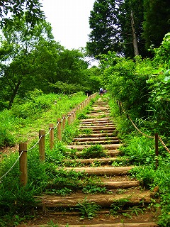 高尾山口 ←→ 陣馬山頂_a0036808_16392398.jpg