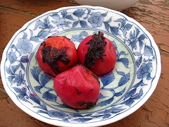 高尾山口 ←→ 陣馬山頂_a0036808_1733543.jpg