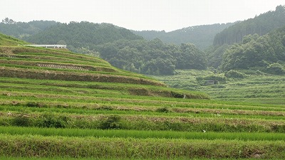 大垪和西（おおはがにし）の棚田_c0132711_1931950.jpg