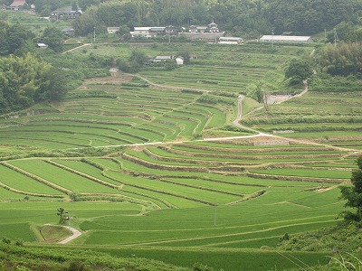 c0132711_193721.jpg
