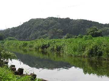 c0051112_1551421.jpg