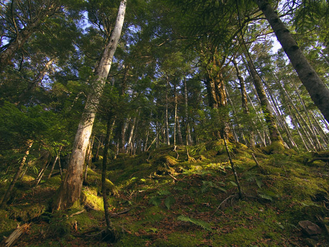 c0110112_23274187.jpg
