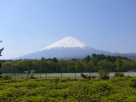 山梨･静岡日帰り旅　富士芝桜まつり　_e0078919_954111.jpg