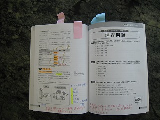 f0149420_1452103.jpg