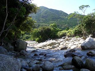 c0117621_1794219.jpg