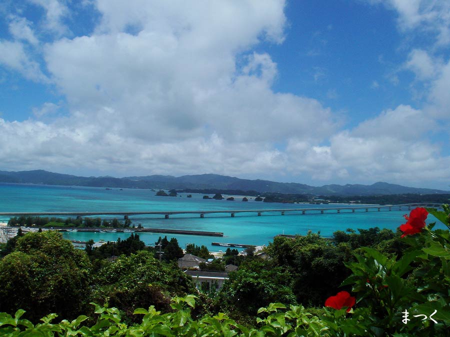 a0128024_2027539.jpg