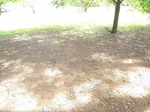 d0002224_21303876.jpg