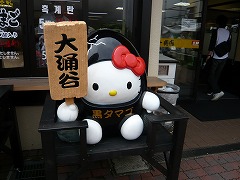 箱根の猫ちゃん_c0176227_2249296.jpg