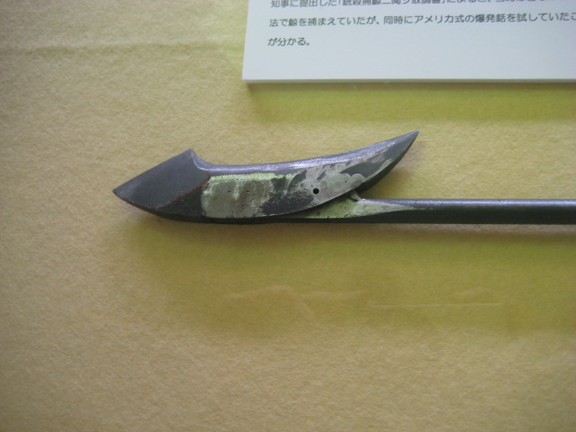 熊野自慢　その28　「くじら博物館」_d0147727_2005141.jpg