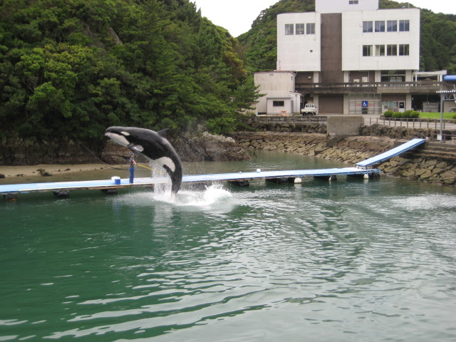 熊野自慢　その28　「くじら博物館」_d0147727_2051896.jpg