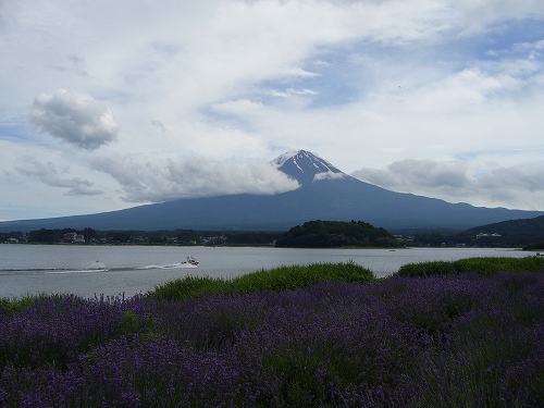 桃食べ放題と桃狩り_d0099829_21472859.jpg