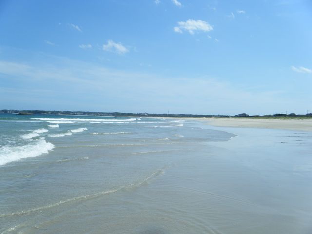b0127531_7312682.jpg