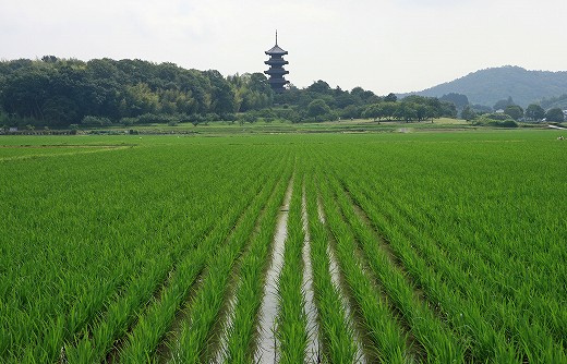 備中国分寺_d0029333_20464046.jpg