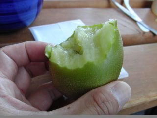 e0069433_20333935.jpg