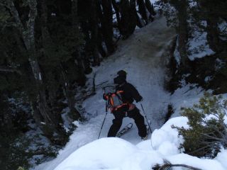 e0069433_2041827.jpg