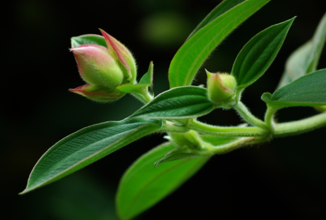 f0145933_21264187.jpg