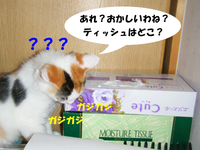 f0008935_1340154.gif