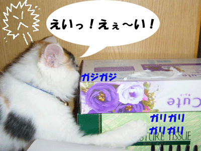 f0008935_13402535.gif