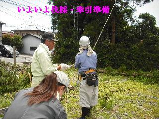 伐採本数15本余り 推定総重量数トン_f0031037_21481099.jpg