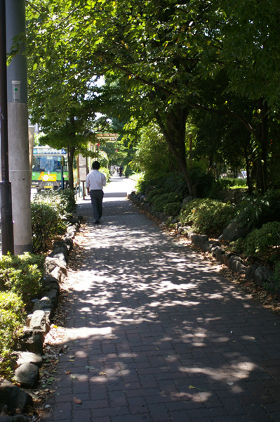 c0090139_14541760.jpg