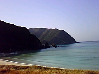 b0002641_19401093.jpg