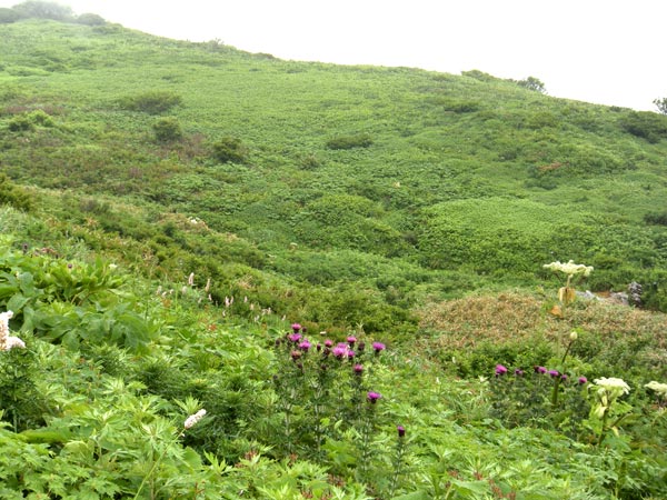 c0047341_617307.jpg